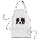 Jarno Boston Terrier Hybrid Photo-12 Aprons