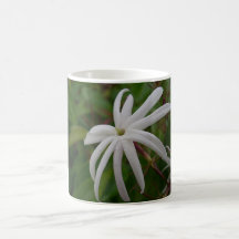 Jasmine Flower Coffee Cup Coffee Mugs