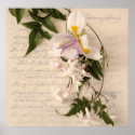 jasmine flowers and lily with script large poster