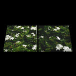 Jasmine Flowers Canvas Print