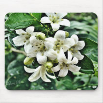 Jasmine in the rain mousepad