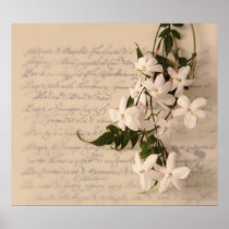 jasmine on old script handwriting poster large