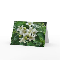 Jasmine Sympathy card by MakaraPhotos Jasmine Sympathy card