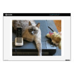 Jasmine the Siamese Cat takes care of business skins