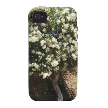Jasmine Tree In Bloom iPhone 4/4S Cases