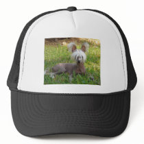 Jasper Green Grass Hat