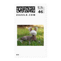 Jasper Green Grass postage