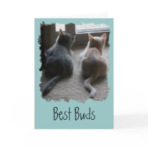 Jasper & Kaylee Kitten "Best Buds" Card