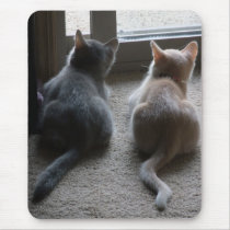 Jasper & Kaylee Kitten Mousepad mousepads