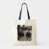 Jasper & Kaylee Kitten Tote Bag bags