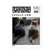 Jasper & Kaylee Small Kitten Postage Stamps stamps