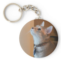 Jasper Kitten Keychain
