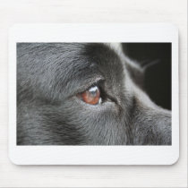 jasper mousepads