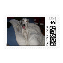 Jasper postage