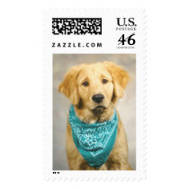 Jasper postage