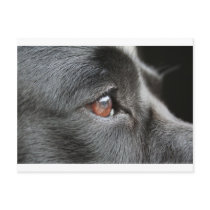 jasper postcards