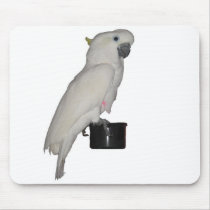 Jasper the Cockatoo Mousepad