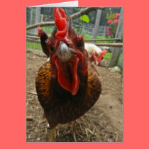 Jasper the Welsummer Hen Note Card cards