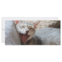 Jasper Yawning Kitten Photo Bookmark Personalized Rack Card