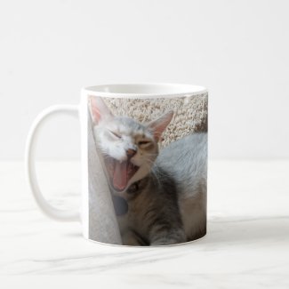 Jasper Yawning Kitten Photo Gimme More Coffee Mug mug