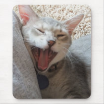 Jasper Yawning Kitten Photo Vertical Mousepad mousepads
