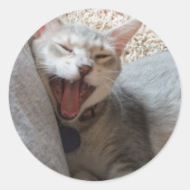 Jasper Yawning Kitten Round Photo Stickers stickers