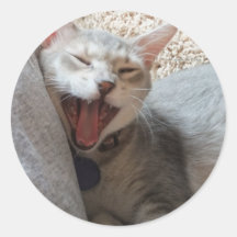 Jasper Yawning Kitten Round Photo Stickers