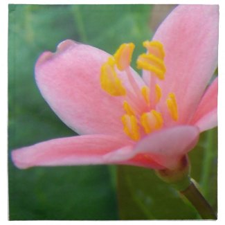 Jatropha Flower Closeup Printed Napkin