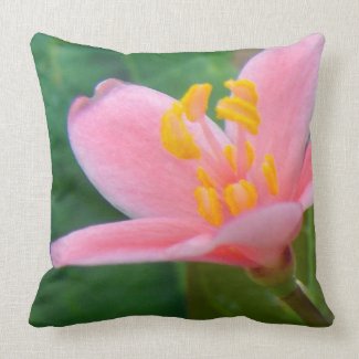 Jatropha Flower Closeup Throw Pillow