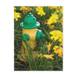 Jaune et gree post cards