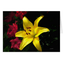 Jaune et Rouge cards