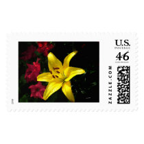 jaune et rouge postage by bhbphotos jaune et rouge postage