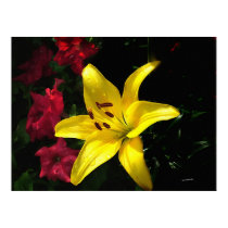 Jaune et Rouge posters by bhbphotos Jaune et Rouge posters