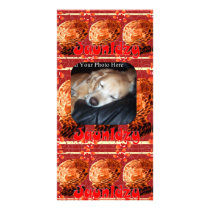 Jaunldzy photo cards