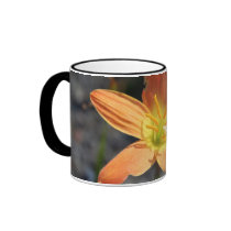 Java Mug mugs