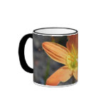 Java Mug