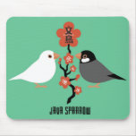 Java sparrow