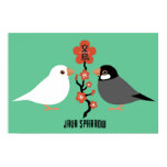 Java sparrow