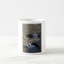 Java Village Falls Mug