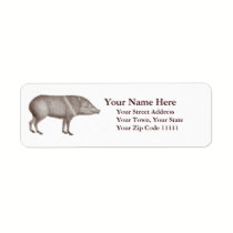 Javelinas Collared Peccaries Unique Arizona labels