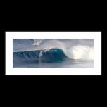 Jaws ~20 Dec 2004  Poster