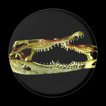 Jaws magnets