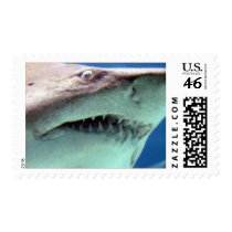 Jaws postage by gauravs82 Jaws postage