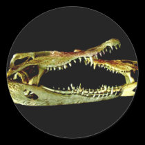 Jaws stickers