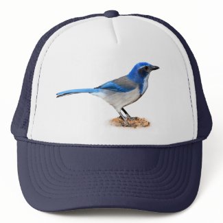 JAY 7 hat
