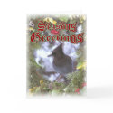 Jay at Christmas. cards by NatureGuy Jay at Christmas. cards