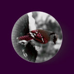Jay Bird Button