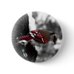 Jay Bird Button