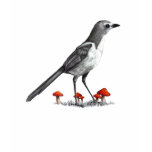 Jay Bird With Red Mushrooms: Pencil Art Jay Bird With Red Mushrooms: Pencil Art