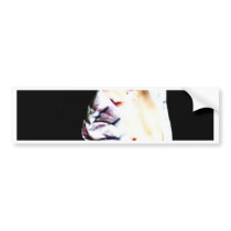 Jayden Modeling bumper stickers